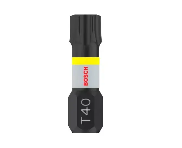 Bosch - Set d'embouts T40, 2 pièces 2608522478
