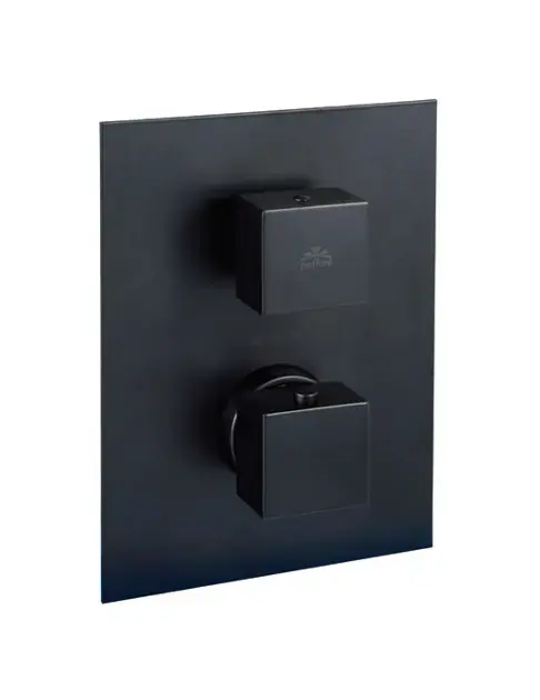 Paffoni Level - Mitigeur thermostatique de douche, encastré, avec corps d’encastrement, 1 sortie, noir mat LEQ513NO/M