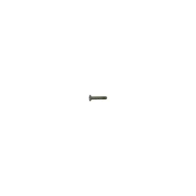 Vis TF bombée fendue - DIN 964 - M 5 x 30 - Inox A4