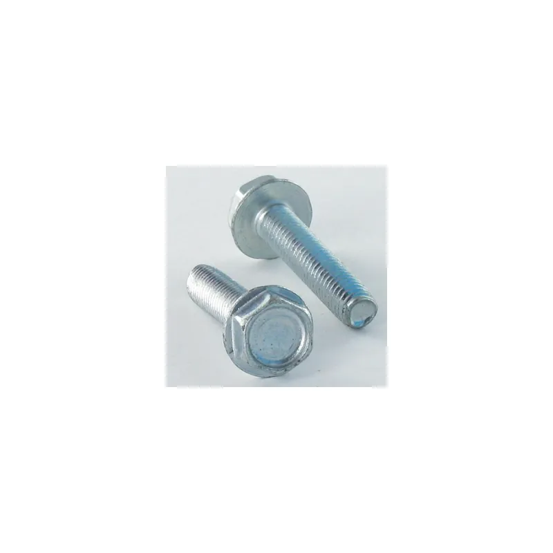 1 x Vis autotaraudeuse Tête hexagonale TH Embase collerette Lisse 6X20 Acier zingué