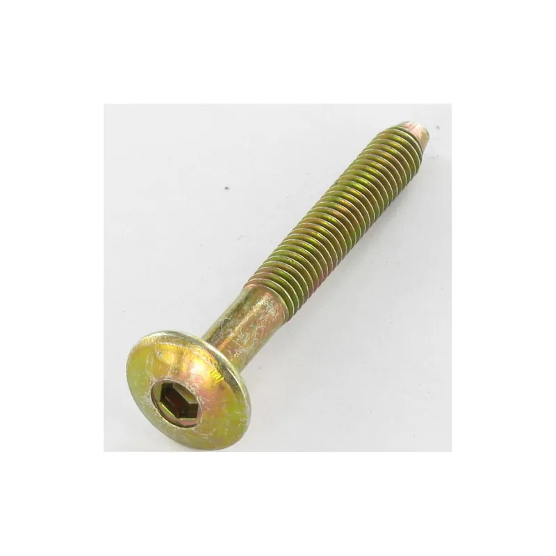 1 x Vis Poelier Hexagonale creuse M6X47 Filetée sur 32 Bout conique Bichromaté