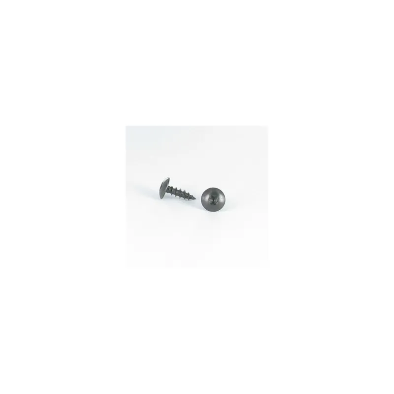 1 x Vis Penture 6X40 Filetée sur 38 TORX T30 Inox A2 Noir