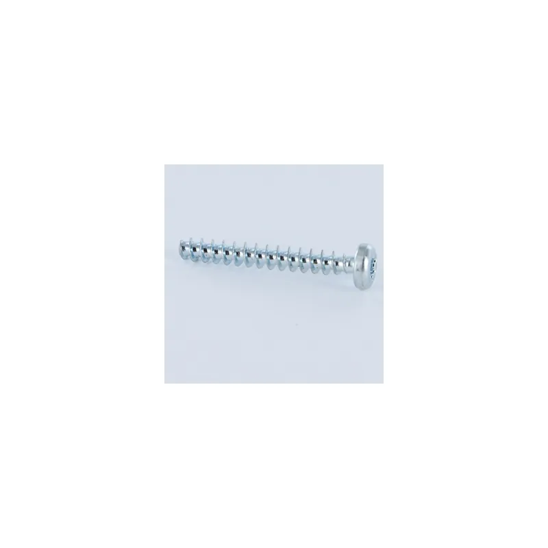 1 x Vis pvc Tête cylindrique TC TORX T20 5X20 Acier zingué Embase collerette Sans pointe
