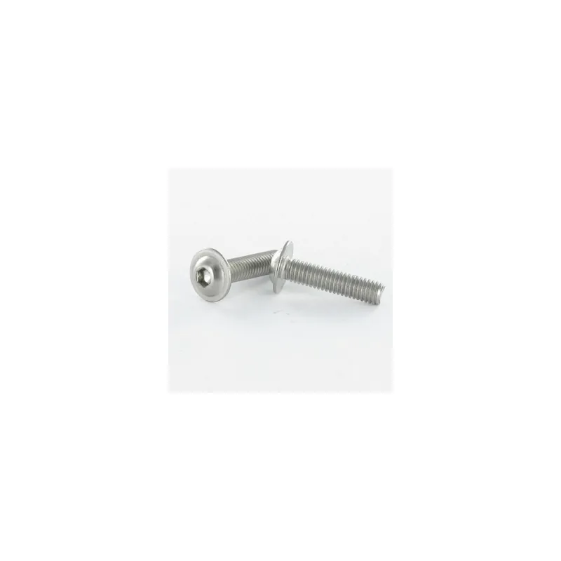 1 x Vis métaux BHC (Tête Bombée Hexagonal creux) Embase collerette M6X16 Clé de 4 HC4 Inox A2