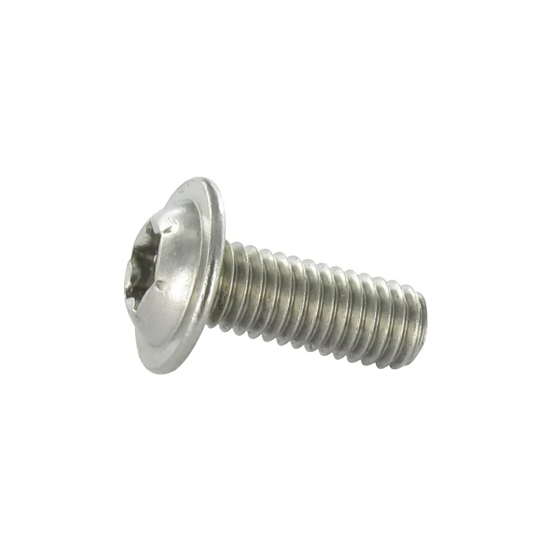 1 x Vis métaux Tête bombée Embase collerette TORX T20 M4X20 Filetage total Inox A2