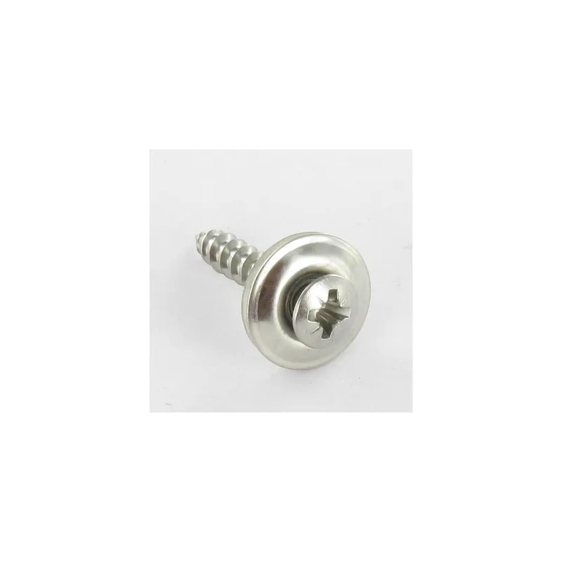 1 x Vis faitage Tête fraisée bombée TFB Pozi Inox A2 Rondelle d'étanchéite EPDM 4.5X80