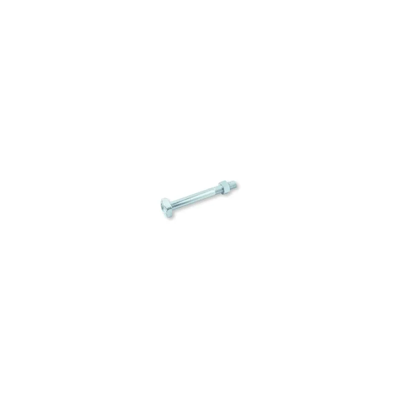 1 x Boulon (vendu avec Ecrou) Charpente M14X225 Tête carrée 24X24X10 Acier zingué
