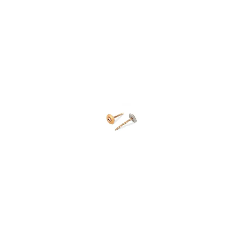 1 x Vis faitage Tête fraisée bombée TFB TORX T20 4.5X45 Inox A2 cuivre Rondelle d'étanchéite EPDM 20