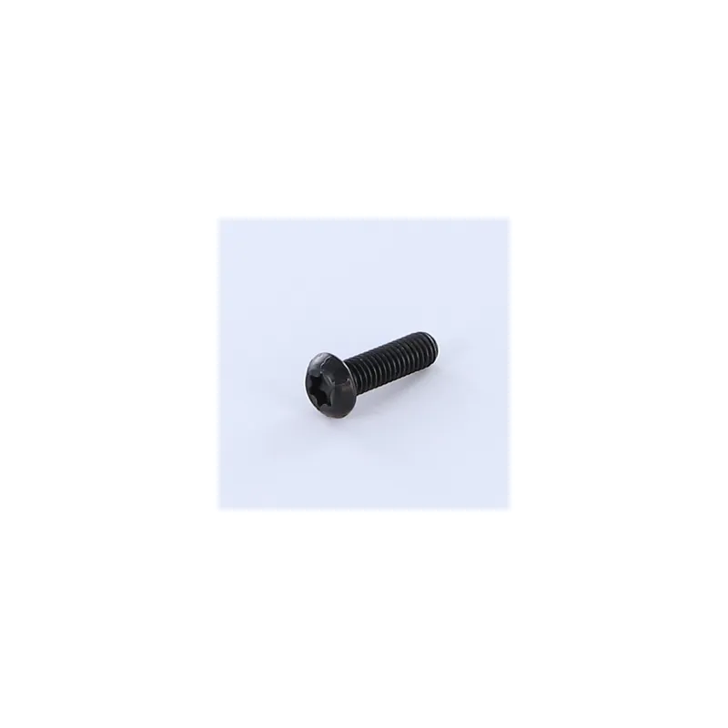 1 x Vis métaux Tête bombée TORX T25 M5X20 Classe 8.8 Acier brut zingué nickel noir 480 hbs sans rouille rouge - Noir