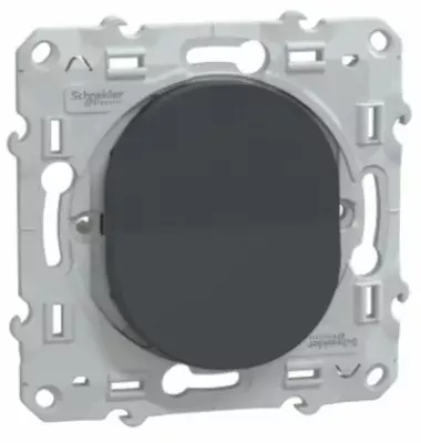 Interrupteur Ovalis anthracite Schneider