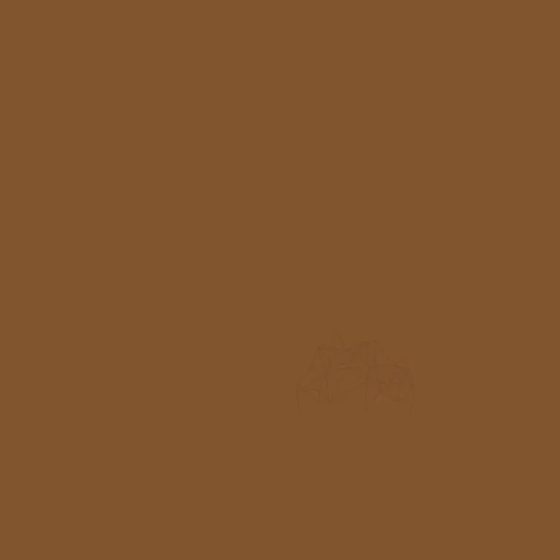 Weber Color Perfect Coffee, 2 Kg, Coulis flexible pour murs et sols Coffee